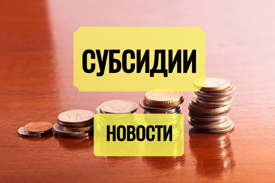Субсидии. Субсидии картинки. Субсидии надпись. Государственные субсидии картинки.